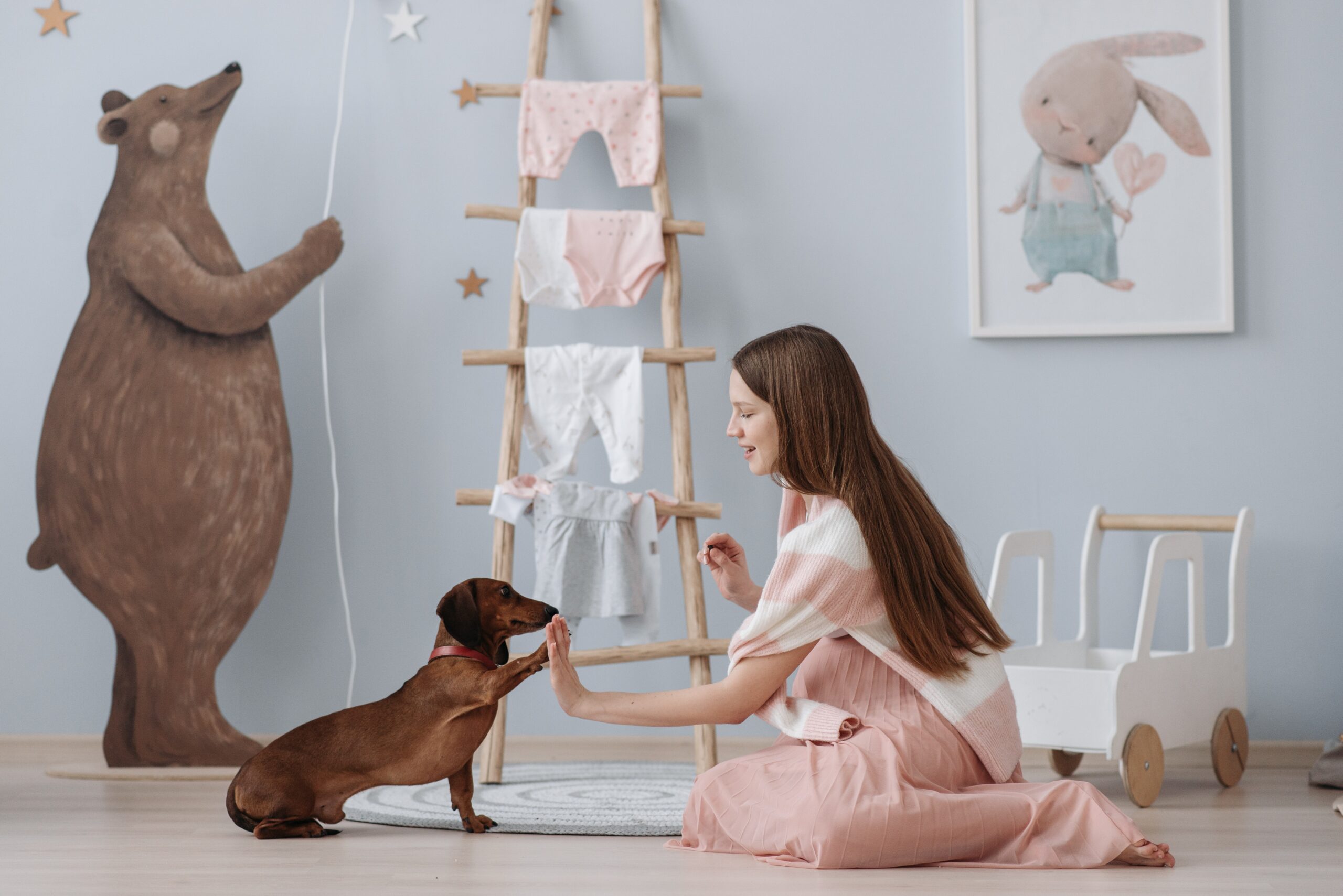 Owner in a dog training session at home